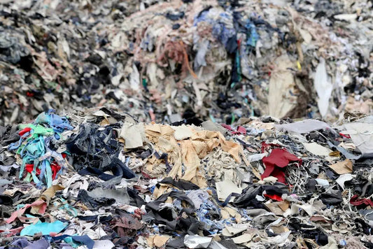 10 Statistics About Fast Fashion Waste
