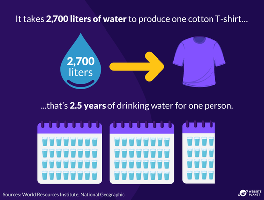 Fast Fashion’s Environmental Impact